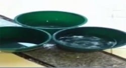 Bu görüntü dünyanın en büyük adalet sarayından!