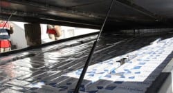 Kamyonetin kasasından bakın ne çıktı!