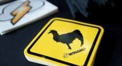 Winamp küllerinden doğdu!