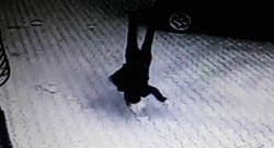 Ayten öğretmenin saniye saniye ölüme böyle gitti!