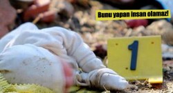 Mersin’de 1 haftalık bebeği ormana bıraktılar!