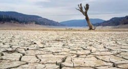 Barajlarda sular azaldı, susuzluk kapıda!