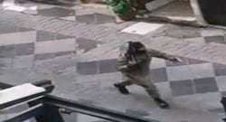 İzmir’de panik ve korku dolu anlar yaşattı!