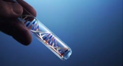 Türklerin DNA’sı çözüldü!