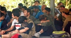 Ormandaki gizli kampta 200 ‘Türk’ bulundu!