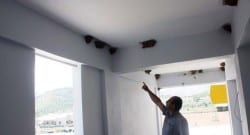 Kırlangıçlar yuva yapınca inşaata ara verildi!