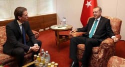 Avusturya Dışişleri Bakanı’ndan Başbakan Erdoğan’a teşekkür!