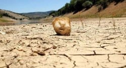 Musluklardaki kaçak su oranı yılda 157 günlük su kaybımıza neden oluyor!