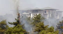 Atatürk Orman Çiftliği’nde yangın çıktı!