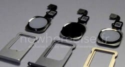 iPhone 6’nın hangi renklerde çıkacağı belli oldu!