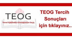 TEOG 2014 yerleştirme sonuçları açıklandı!
