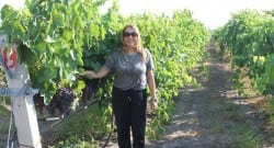 Üzüm bağı kuran kadının zaferi!