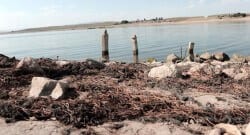 20 yıl sonra köyün kalıntıları bulundu!