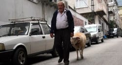 Sosyetik koçu görenler şaşkına dönüyor