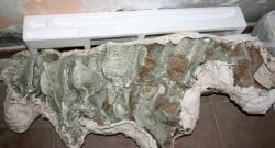 Çobanın 30 milyon yıllık fosil keşfi!