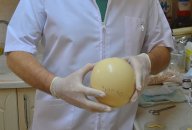 Türk bilim insanları deve kuşundan doğal yara bandı icat etti!