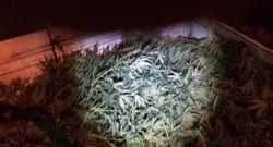 Polisler bile şaşkına döndü!