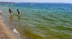 Deniz renginin neden yeşil olduğu belirlendi!