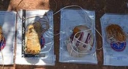 Gaziantep’te 150 kilo C4 ele geçirildi!