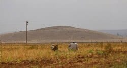 IŞİD’in Kobani’deki ilerleyişini durduruyorlar!