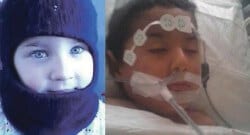 Yolda bulduğu mantarı yiyerek zehirlenen çocuğun karaciğeri iflas etti!