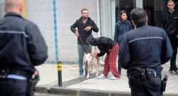 Çanakkale’de pitbull dehşeti!