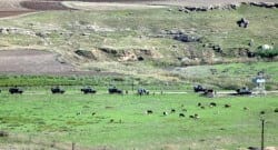 Suriye sınırında hareketli dakikalar!