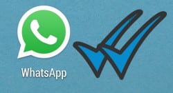 WhatsApp’ın ‘Mavi Tık’ özelliği sosyal medyayı yıktı!