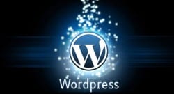 WordPress nedir? Özellikleri nelerdir?