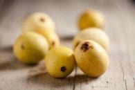 Binlerce gezginin gelmesi koruma altına aldırdı