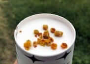 Geç keşfedilen yüksek proteinli şifa deposu: Arı ekmeği